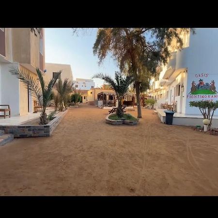 Oasis Fighting Kangaroo Dahab Ngoại thất bức ảnh