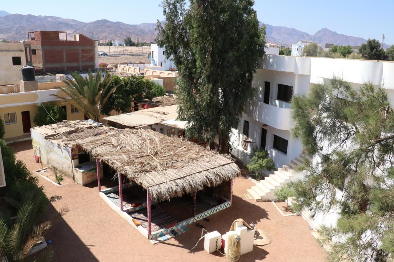 Oasis Fighting Kangaroo Dahab Ngoại thất bức ảnh