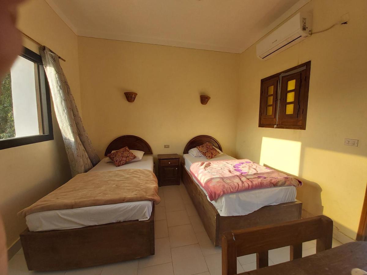 Oasis Fighting Kangaroo Dahab Ngoại thất bức ảnh
