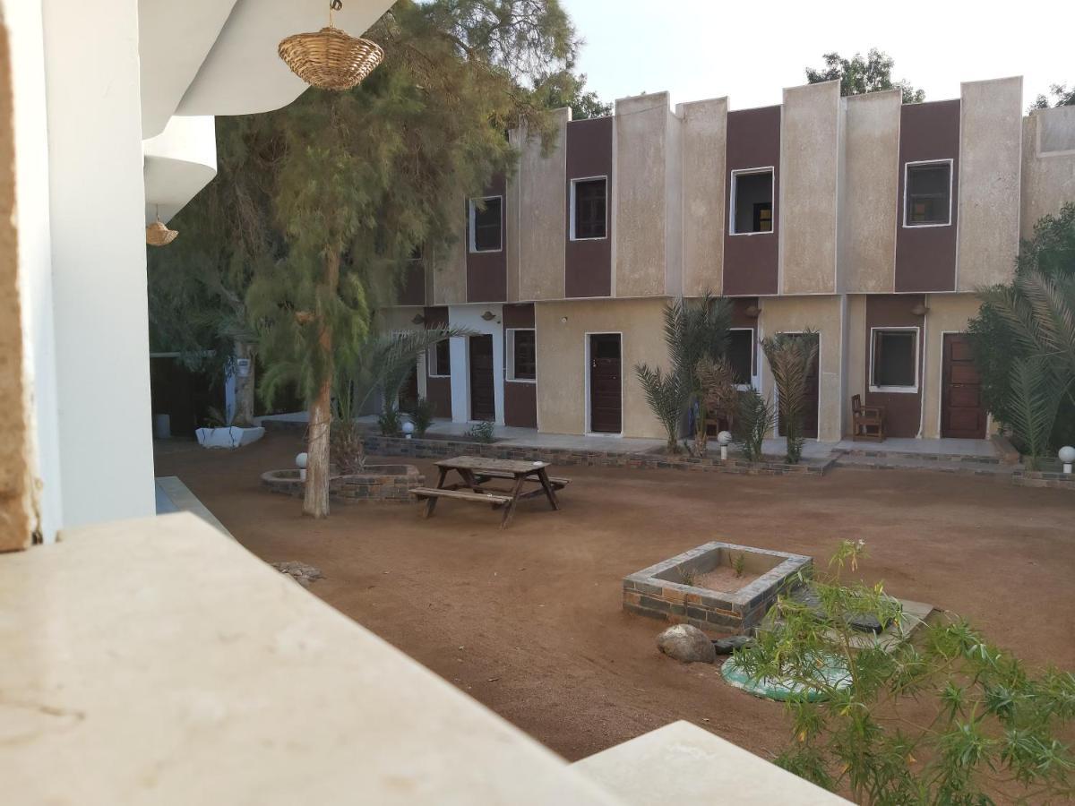 Oasis Fighting Kangaroo Dahab Ngoại thất bức ảnh
