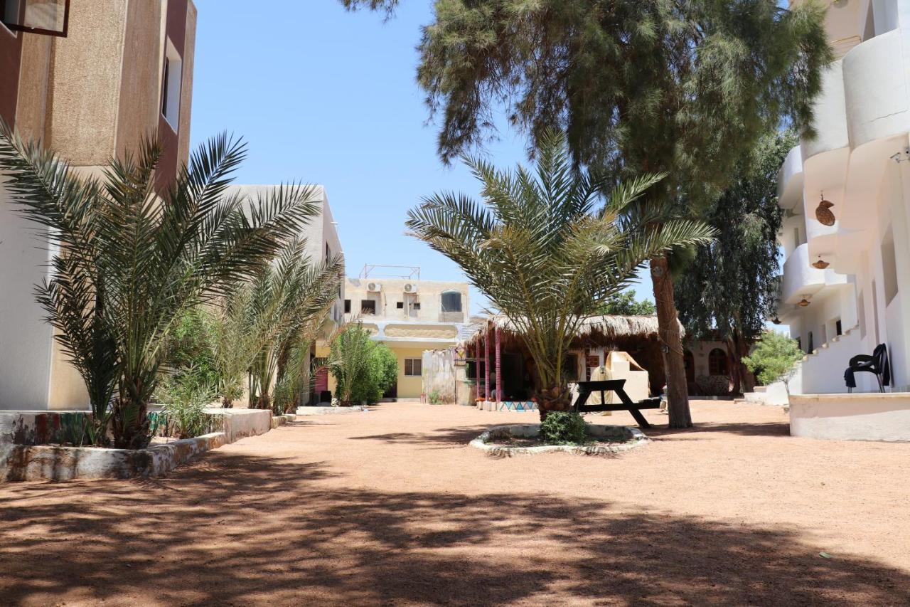 Oasis Fighting Kangaroo Dahab Ngoại thất bức ảnh
