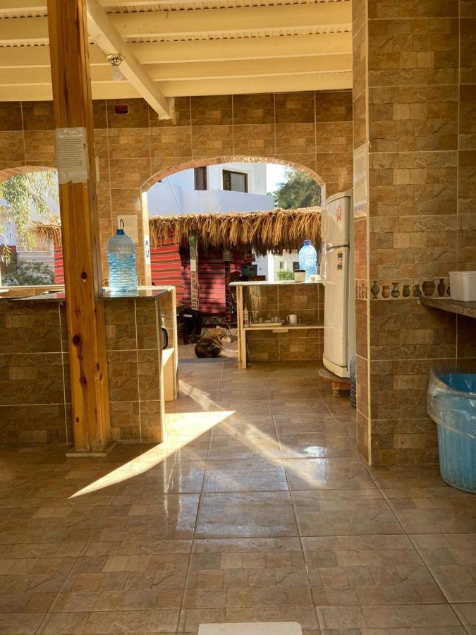 Oasis Fighting Kangaroo Dahab Ngoại thất bức ảnh