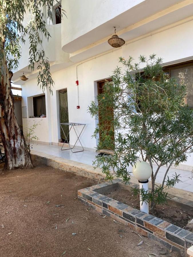 Oasis Fighting Kangaroo Dahab Ngoại thất bức ảnh