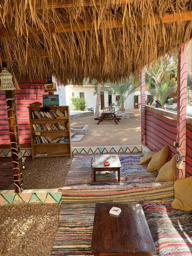 Oasis Fighting Kangaroo Dahab Ngoại thất bức ảnh