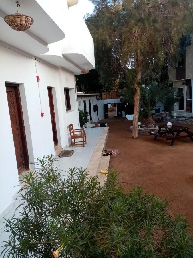 Oasis Fighting Kangaroo Dahab Ngoại thất bức ảnh