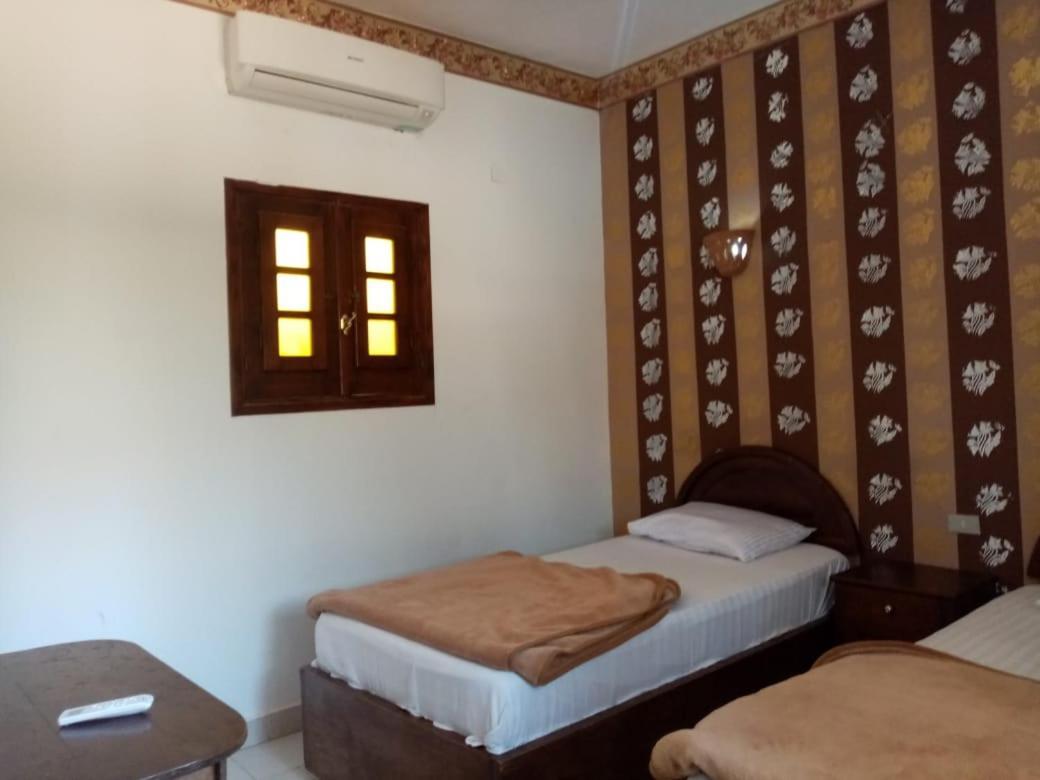 Oasis Fighting Kangaroo Dahab Ngoại thất bức ảnh