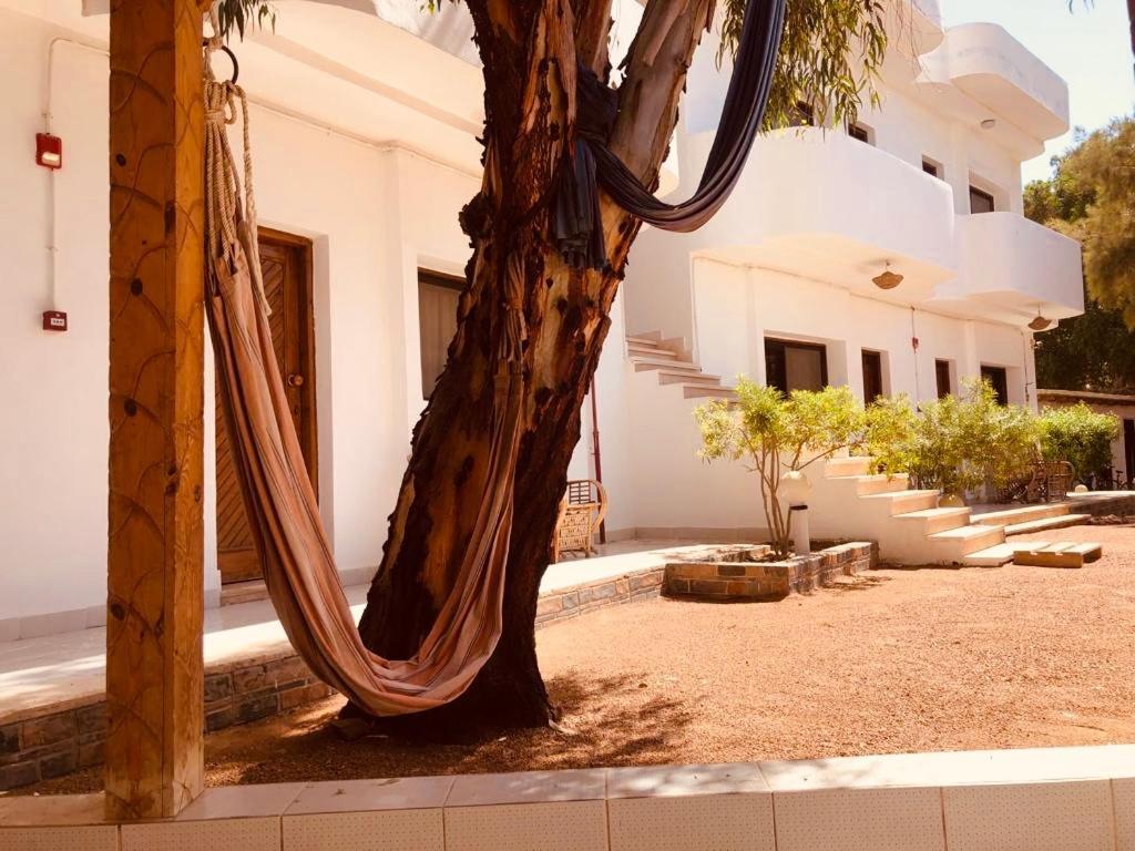 Oasis Fighting Kangaroo Dahab Ngoại thất bức ảnh