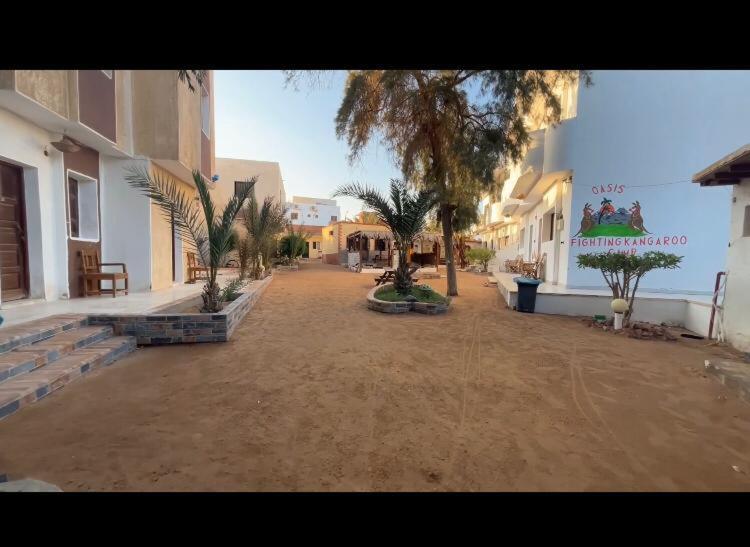 Oasis Fighting Kangaroo Dahab Ngoại thất bức ảnh