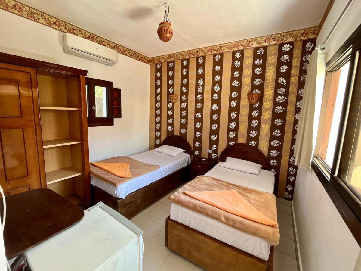 Oasis Fighting Kangaroo Dahab Ngoại thất bức ảnh