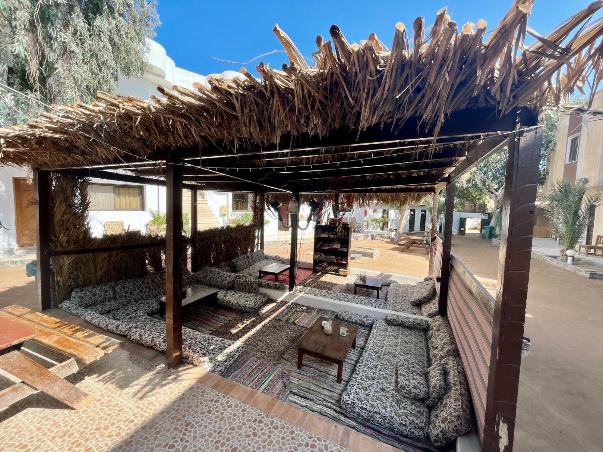 Oasis Fighting Kangaroo Dahab Ngoại thất bức ảnh